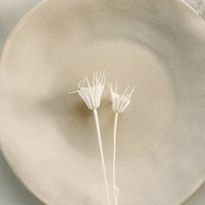 Чашка «Лесная глина», 200 мл